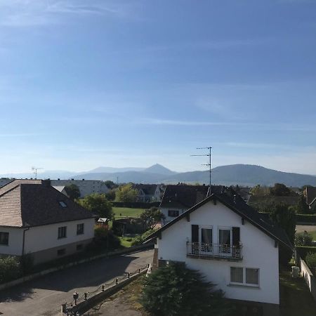 Appartement Chaleureux Et Lumineux Avec Vue ! Au Centre Alsace Sélestat Exterior foto