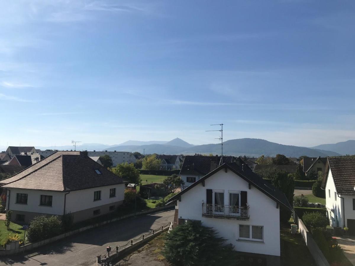 Appartement Chaleureux Et Lumineux Avec Vue ! Au Centre Alsace Sélestat Exterior foto
